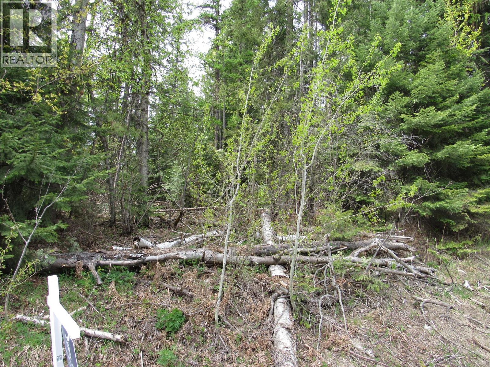Lot 6 Thompson Road, Bonnington Falls, British Columbia  V0G 2G3 - Photo 3 - 10384856