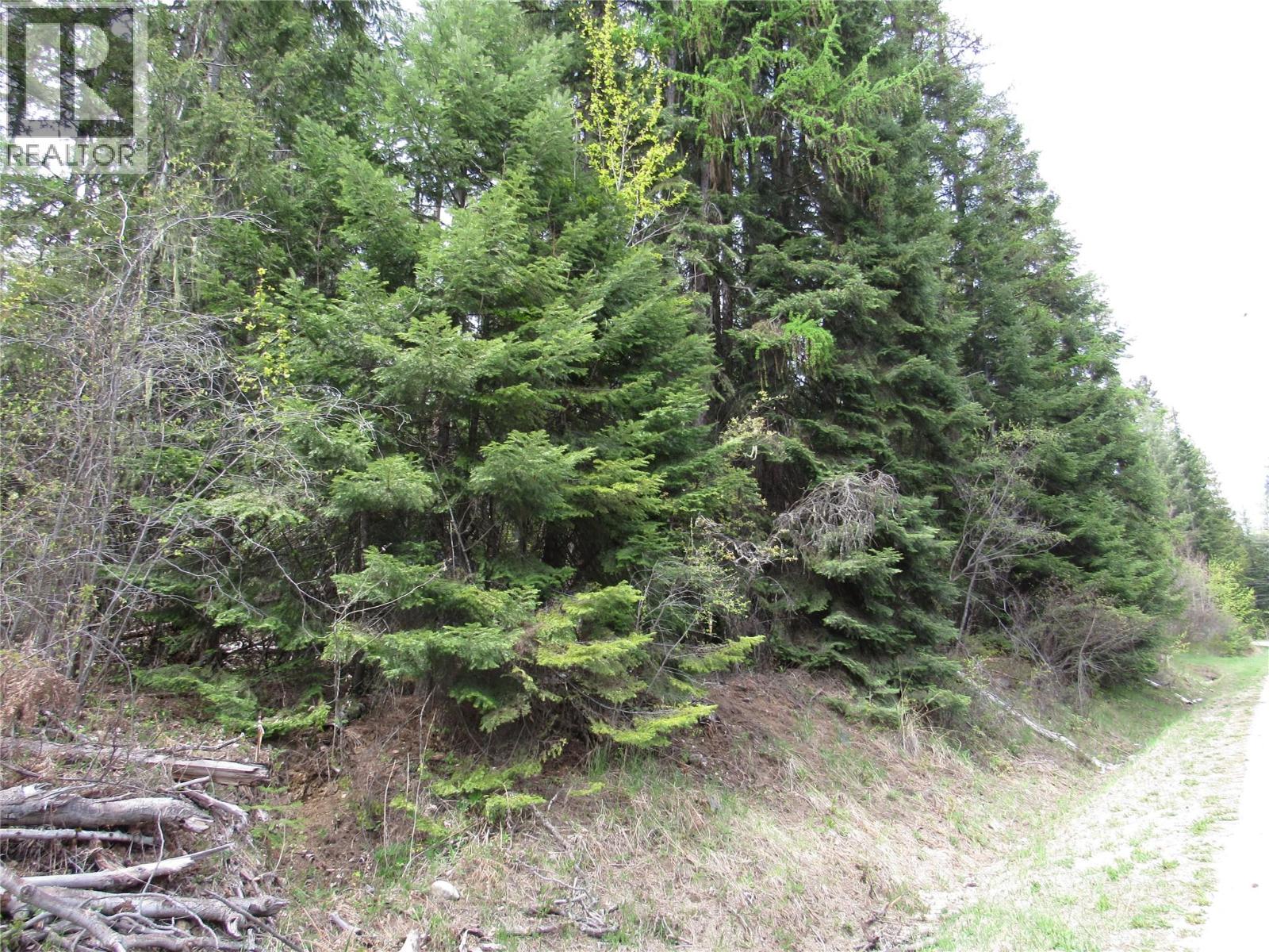 Lot 6 Thompson Road, Bonnington Falls, British Columbia  V0G 2G3 - Photo 4 - 10384856