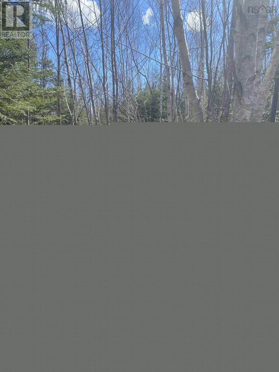 Scotsville Road, Kenloch, Nova Scotia  B0E 1N0 - Photo 5 - 202609038