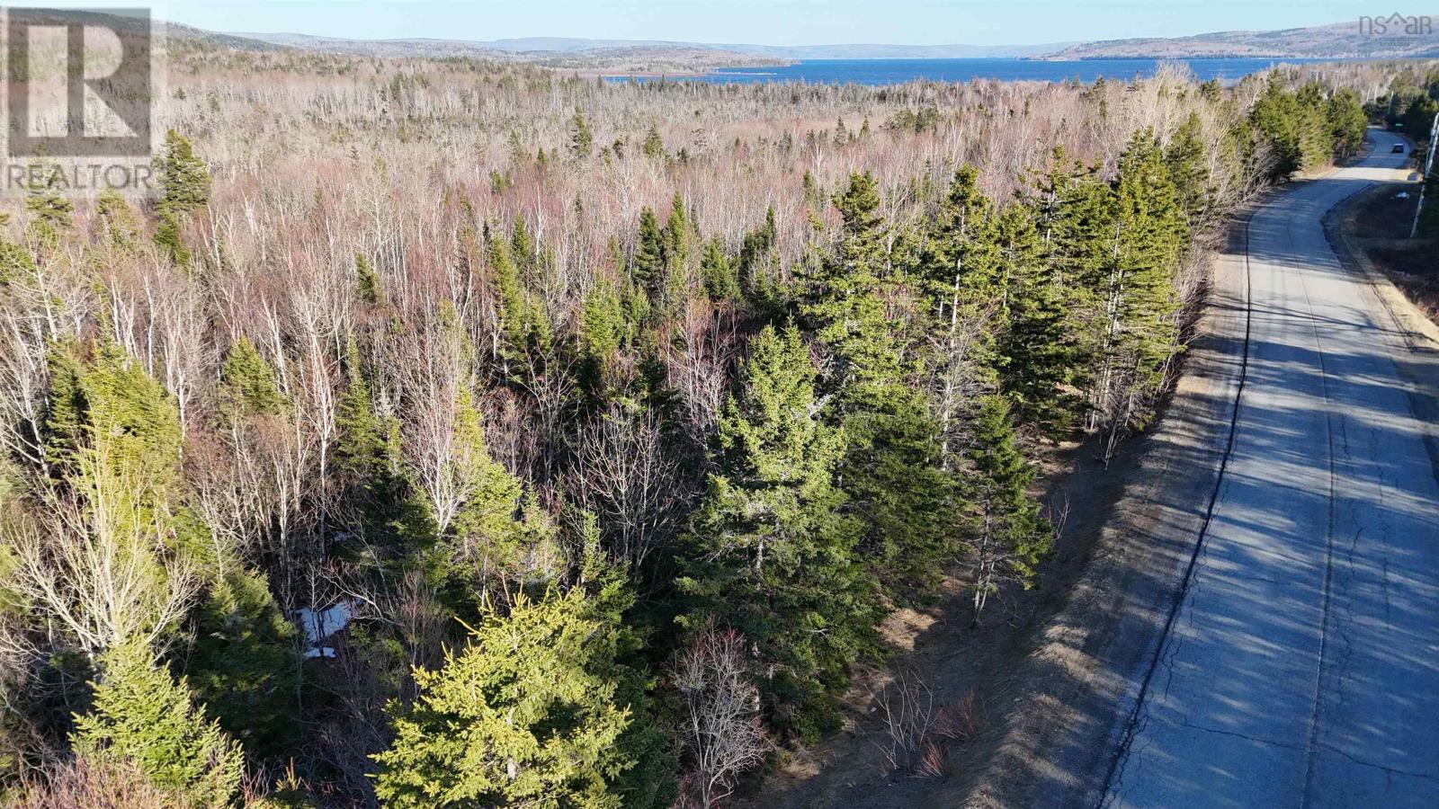 Scotsville Road, Kenloch, Nova Scotia  B0E 1N0 - Photo 4 - 202609038