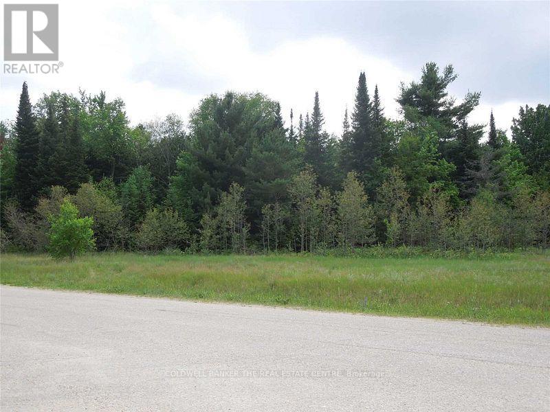 8 Tioga Boulevard, Adjala-Tosorontio, Ontario  L0M 1J0 - Photo 5 - N12160074