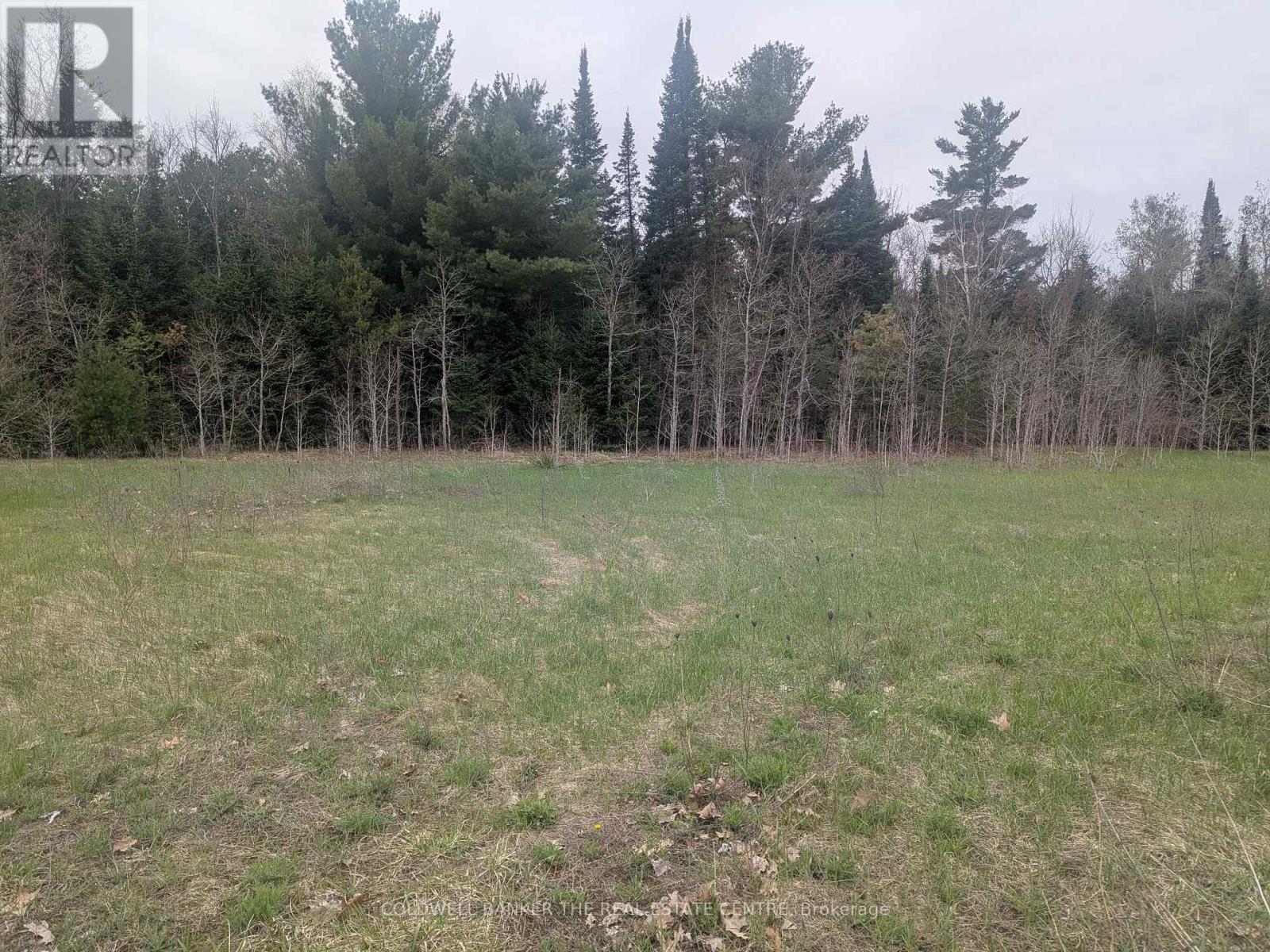 8 Tioga Boulevard, Adjala-Tosorontio, Ontario  L0M 1J0 - Photo 2 - N12160074