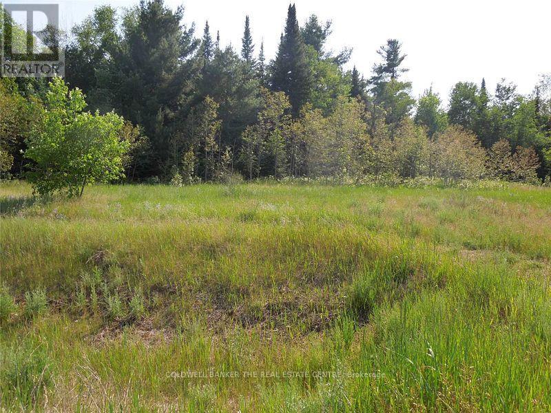 8 Tioga Boulevard, Adjala-Tosorontio, Ontario  L0M 1J0 - Photo 4 - N12160074