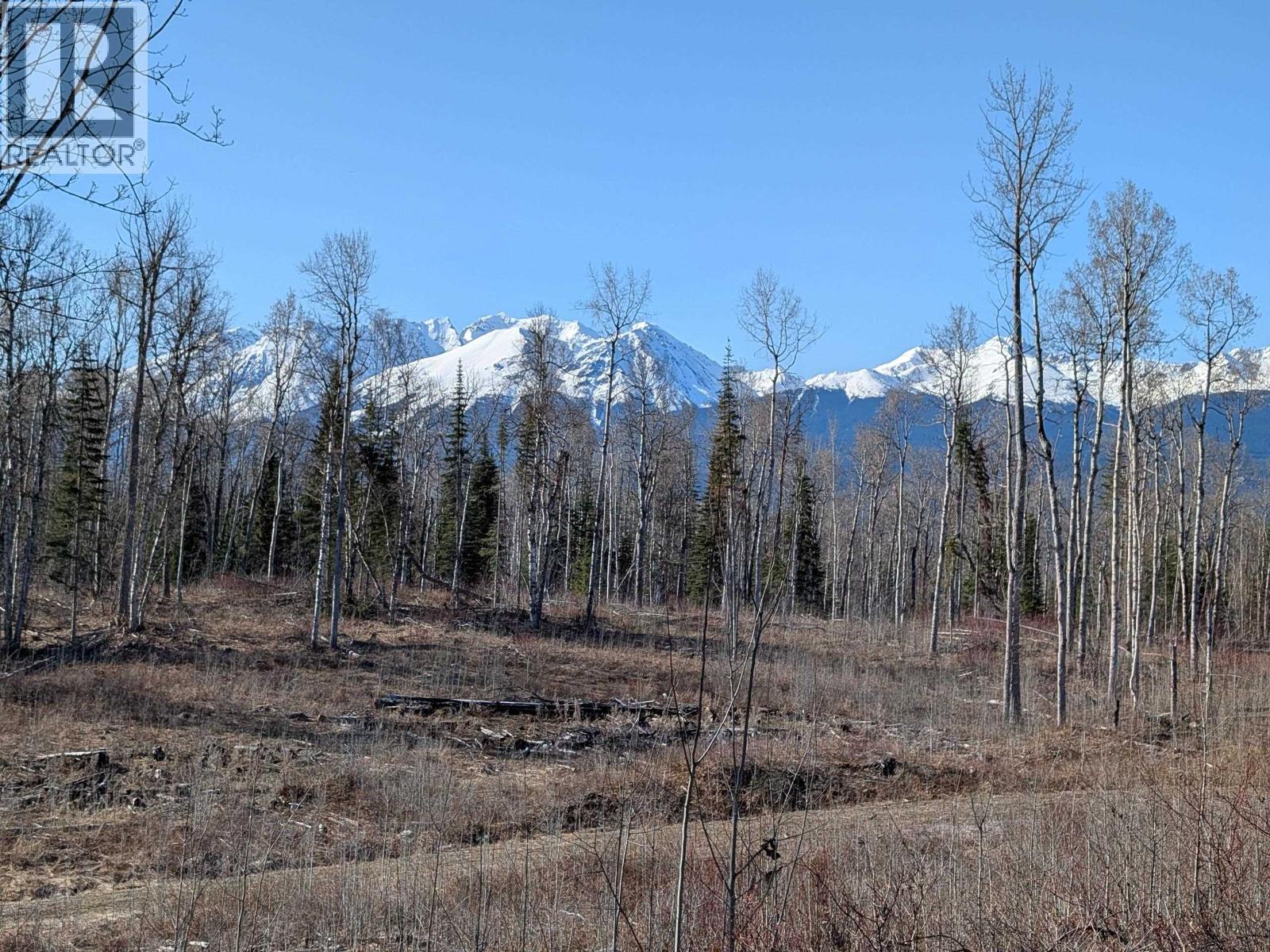 Lot B Telkwa High Road, Smithers, British Columbia  V0J 2N7 - Photo 3 - R3116735