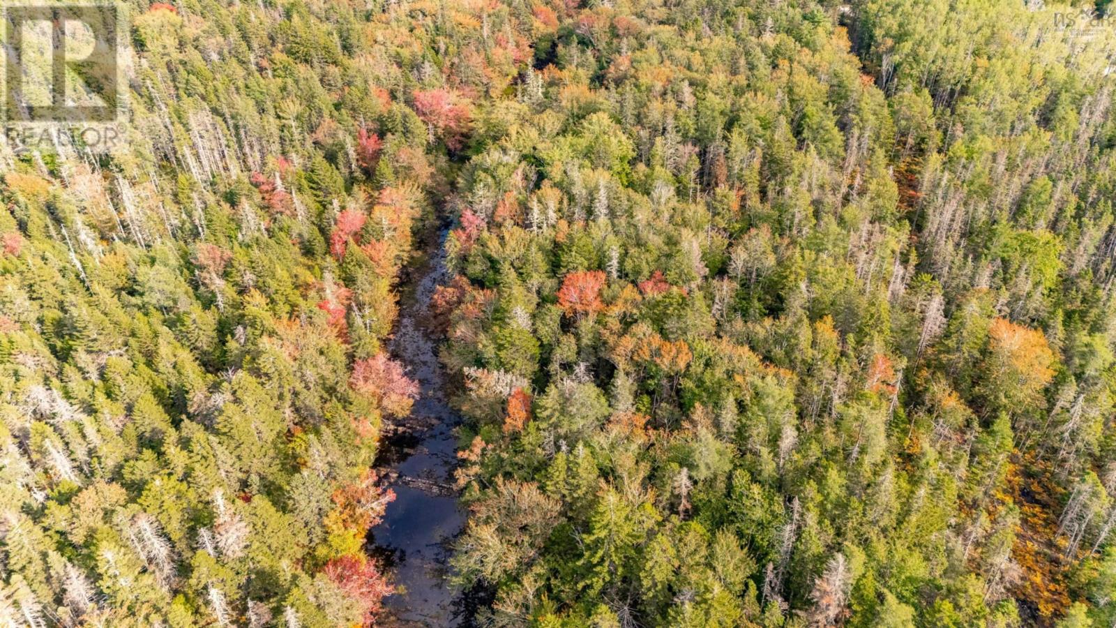 Burridge Road, Mayflower, Nova Scotia  B0W 2Y0 - Photo 10 - 202523942