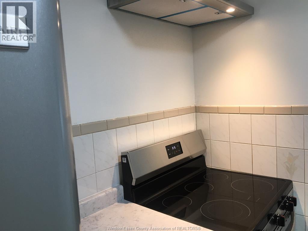 1101 Elsmere, Windsor, Ontario  N9A 2B1 - Photo 11 - 26002114