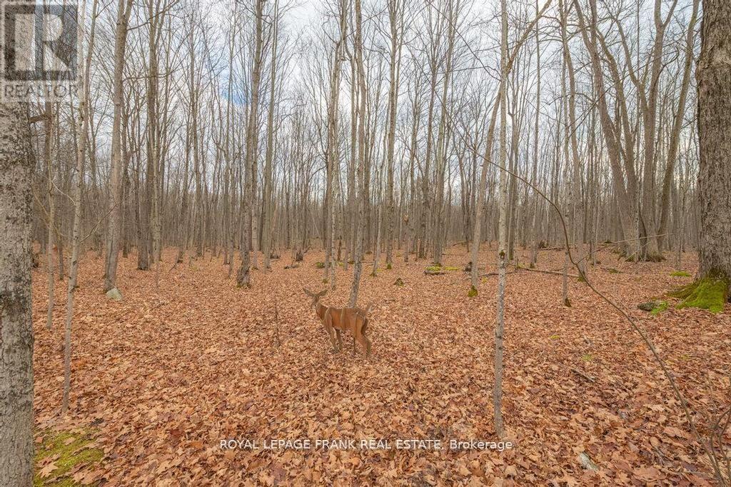 24 Ted's Lane, Trent Lakes, Ontario  K0L 1J0 - Photo 46 - X12936310
