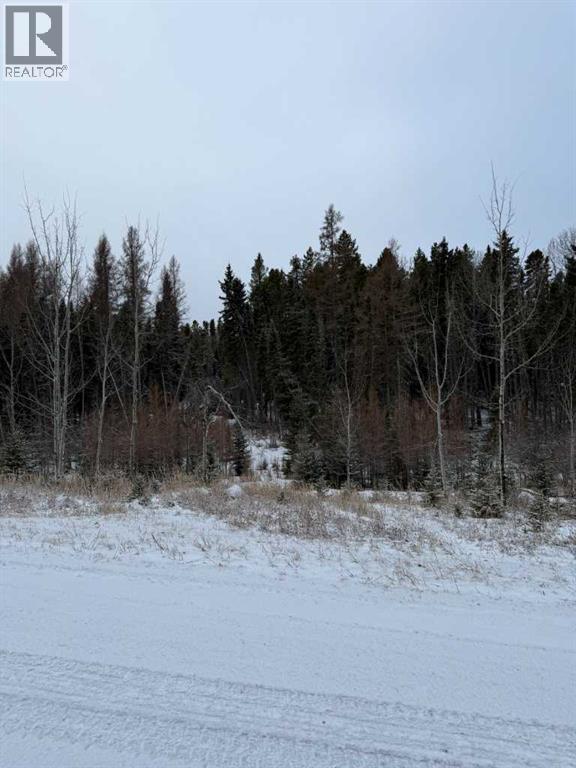 505 Clearwater Estates Crescent, Rural Clearwater County, Alberta  T4T 2A2 - Photo 1 - A2299731