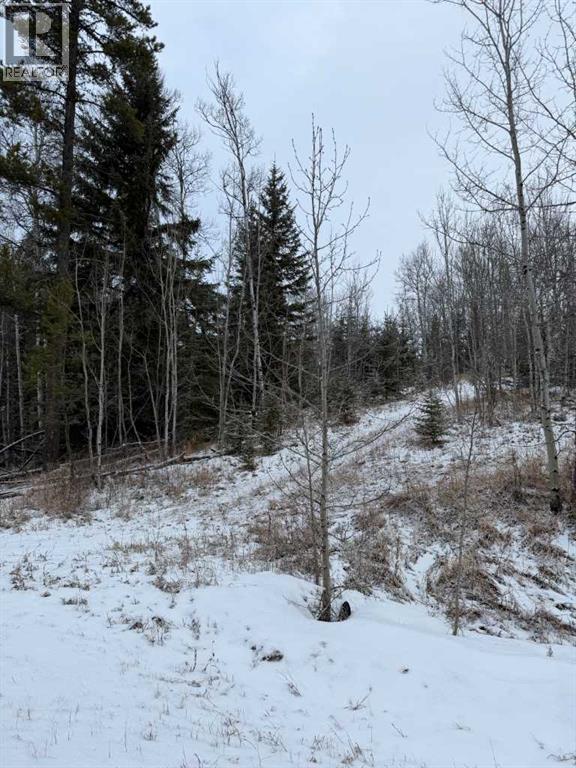 514 Clearwater Estates Crescent, Rural Clearwater County, Alberta  T4T 2A2 - Photo 1 - A2299750