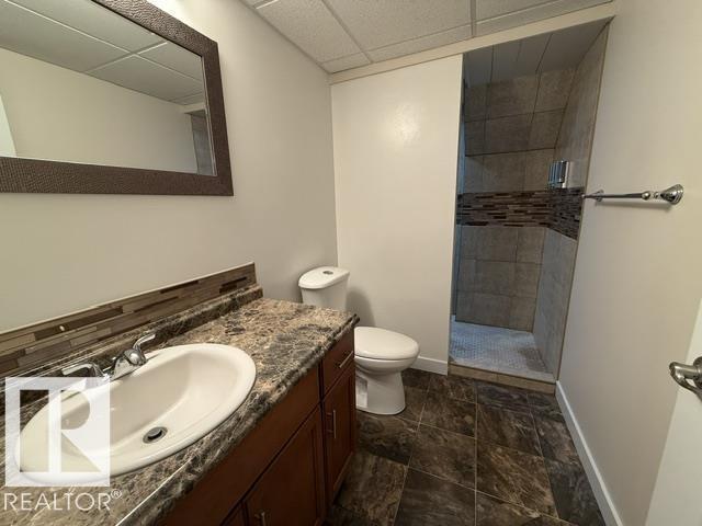 356 Weber Wy Nw, Edmonton, Alberta  T6M 2H2 - Photo 47 - E4484741