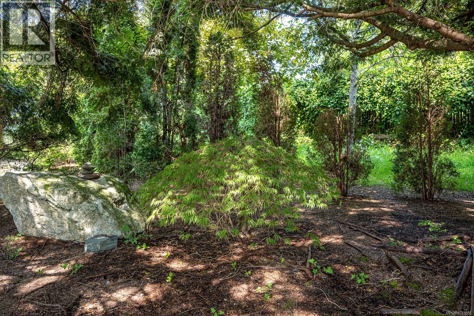 1600 Ascot Ave, Comox, British Columbia  V9M 1A8 - Photo 23 - 1033856