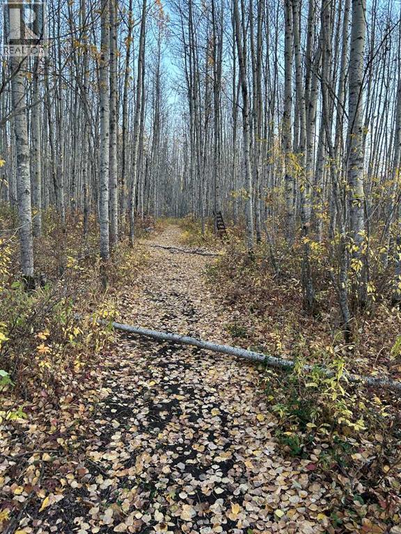 69565 Range Road 65, Grovedale, Alberta  T0H 1X0 - Photo 38 - A2292813