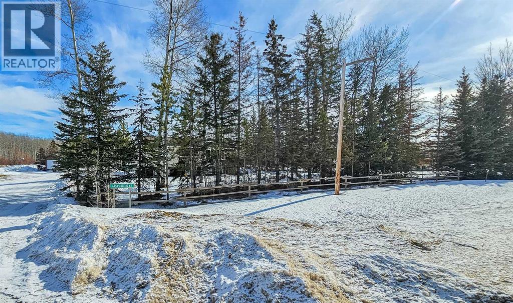 69565 Range Road 65, Grovedale, Alberta  T0H 1X0 - Photo 35 - A2292813