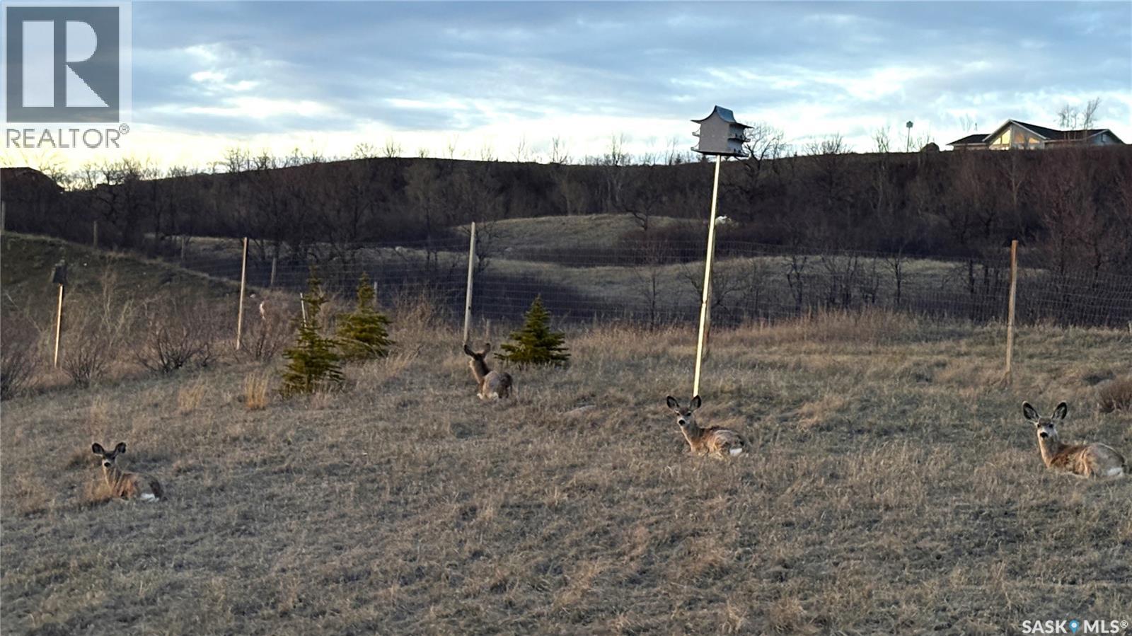 17 Rock Ridge, Longlaketon Rm No. 219, Saskatchewan  S0G 4L0 - Photo 48 - SK033601