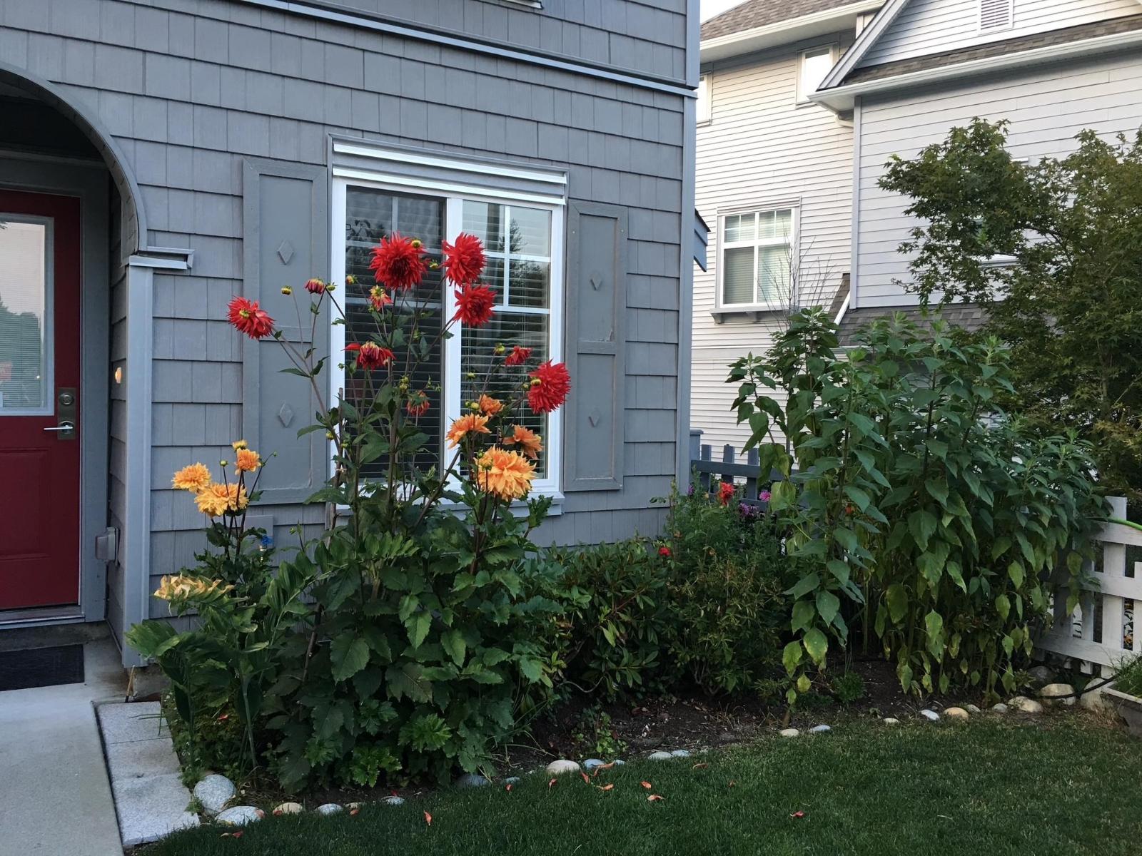 99 5858 142 Street, Surrey, British Columbia  V3X 0H2 - Photo 4 - R3076994