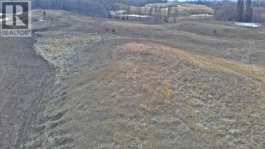 Lot 8 Rr20, Rimbey, Alberta  T0C 2J0 - Photo 11 - A2306556