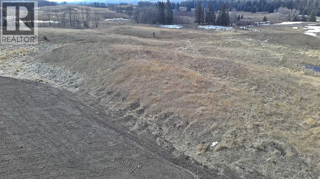 Lot 8 Rr20, Rimbey, Alberta  T0C 2J0 - Photo 12 - A2306556