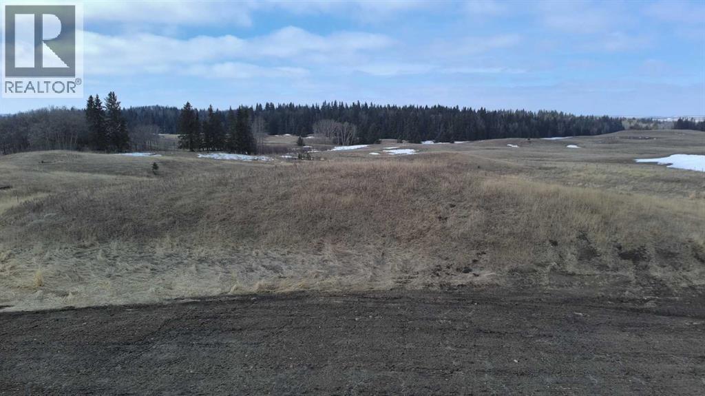 Lot 8 Rr20, Rimbey, Alberta  T0C 2J0 - Photo 2 - A2306556