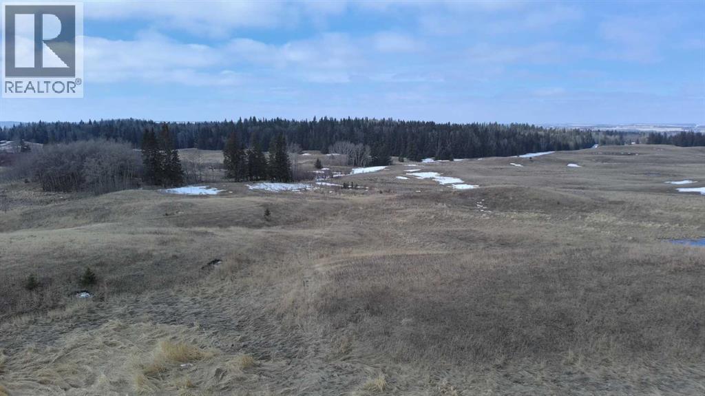 Lot 8 Rr20, Rimbey, Alberta  T0C 2J0 - Photo 3 - A2306556