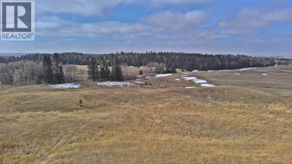 Lot 8 Rr20, Rimbey, Alberta  T0C 2J0 - Photo 5 - A2306556
