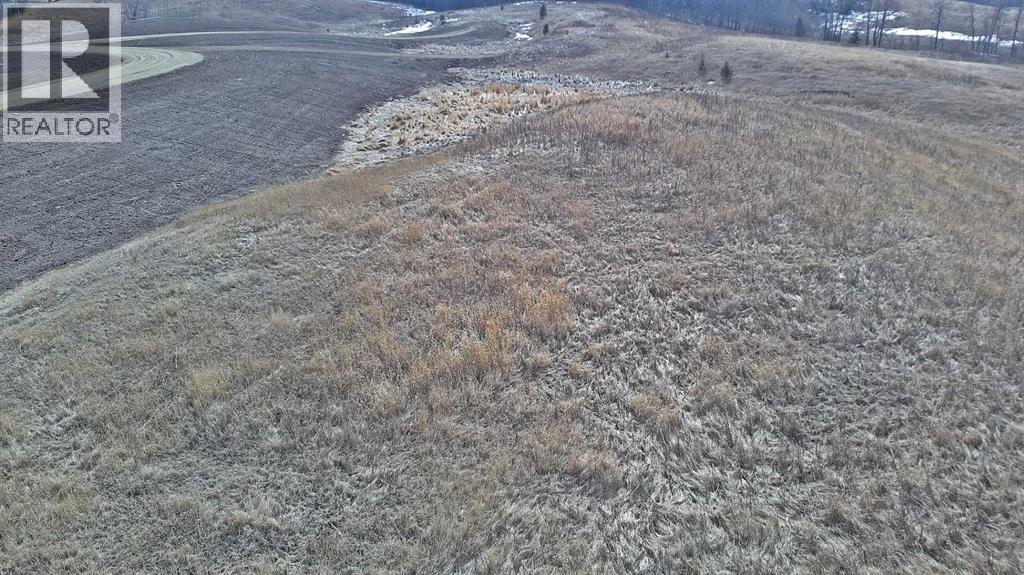 Lot 8 Rr20, Rimbey, Alberta  T0C 2J0 - Photo 6 - A2306556