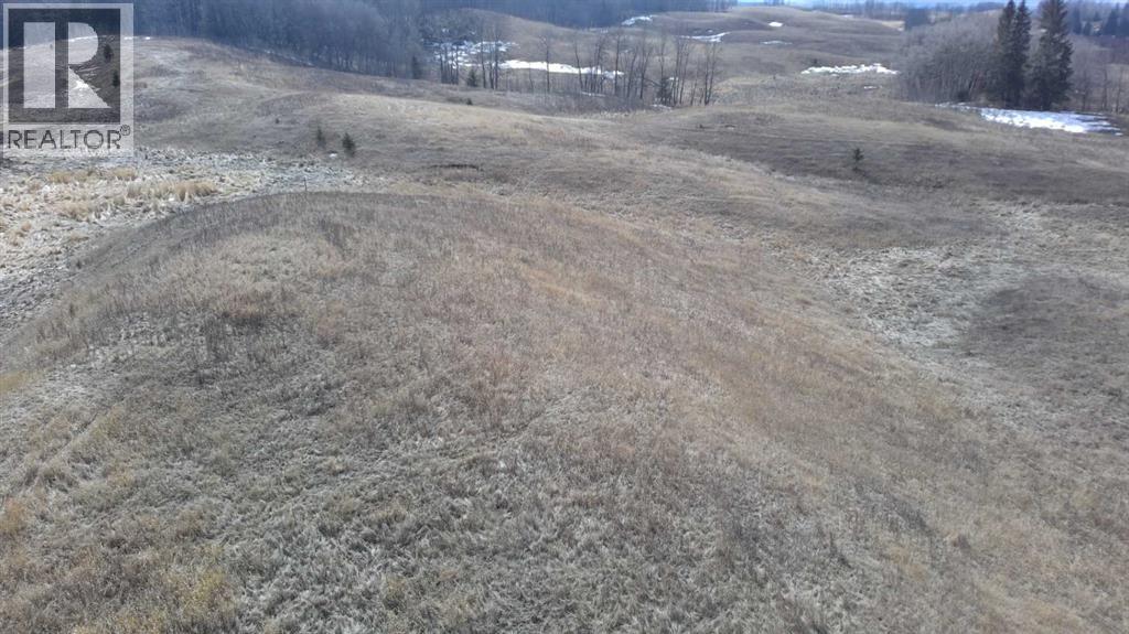 Lot 8 Rr20, Rimbey, Alberta  T0C 2J0 - Photo 7 - A2306556