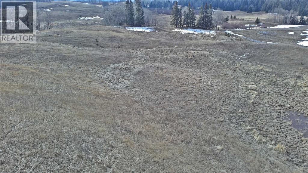 Lot 8 Rr20, Rimbey, Alberta  T0C 2J0 - Photo 8 - A2306556