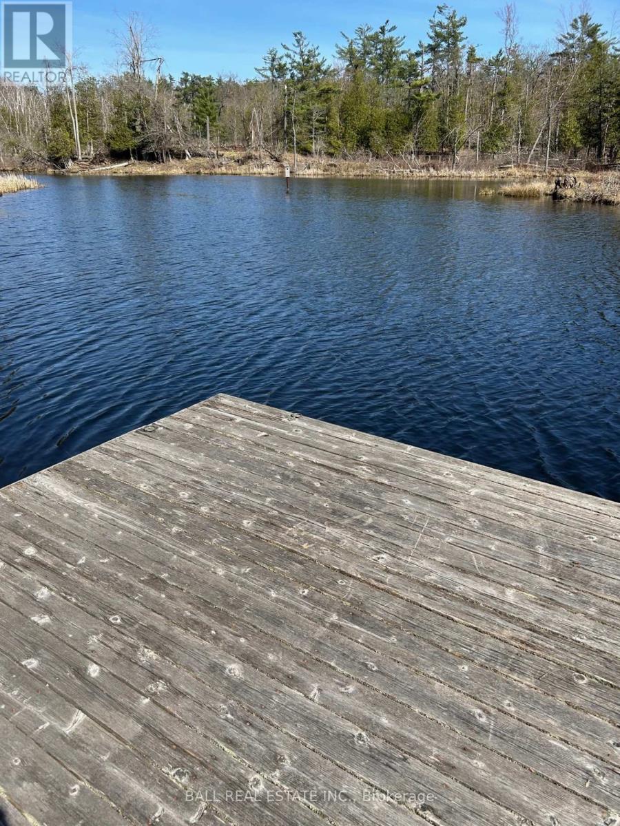 50 Fire Route 10b, North Kawartha, Ontario  K0L 3E0 - Photo 42 - X12747646