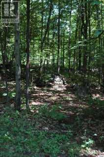 50 Fire Route 10b, North Kawartha, Ontario  K0L 3E0 - Photo 48 - X12747646