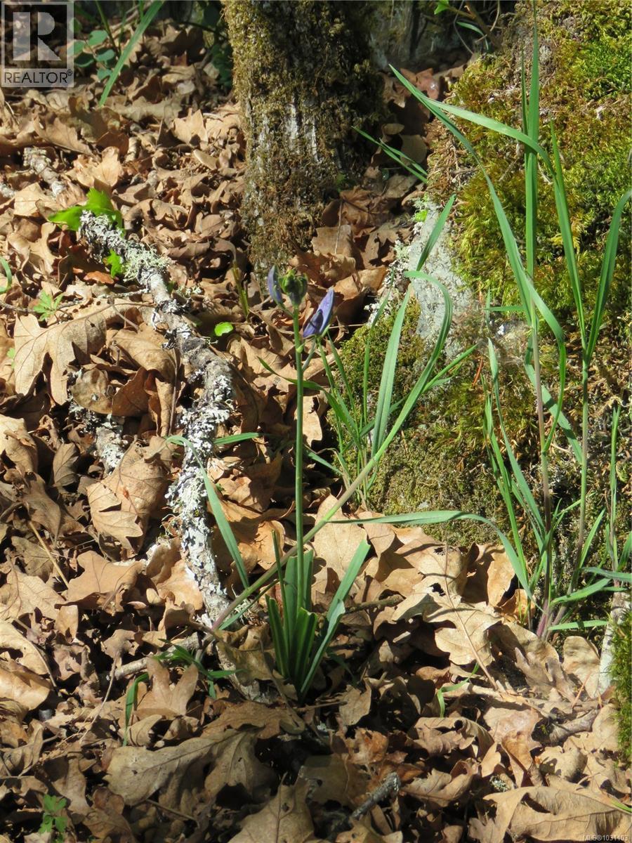 5353 Gore Langton Rd, Cowichan Bay, British Columbia  V9L 5T9 - Photo 89 - 1031103