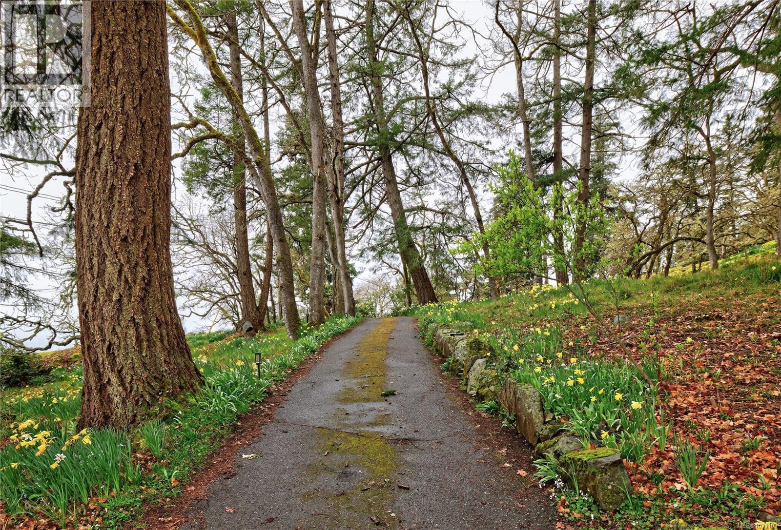 5353 Gore Langton Rd, Cowichan Bay, British Columbia  V9L 5T9 - Photo 94 - 1031103