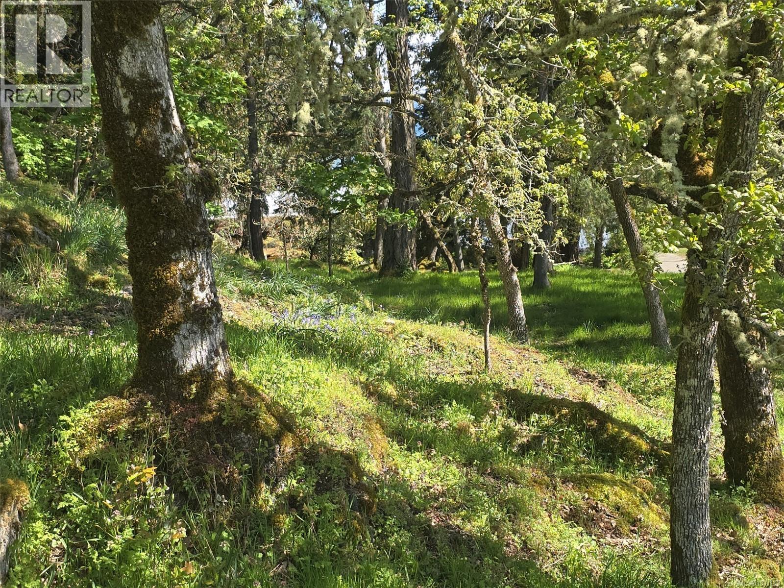 5353 Gore Langton Rd, Cowichan Bay, British Columbia  V9L 5T9 - Photo 80 - 1031103