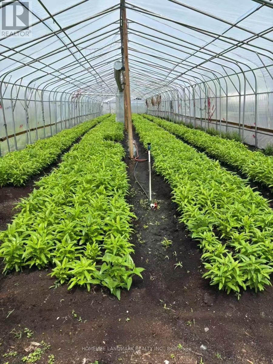 110 Aileen Avenue, King, Ontario  L3Y 4V9 - Photo 3 - N12781950