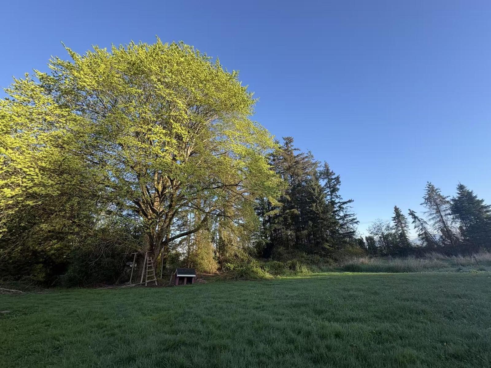 18106 32 AVENUE, surrey, British Columbia