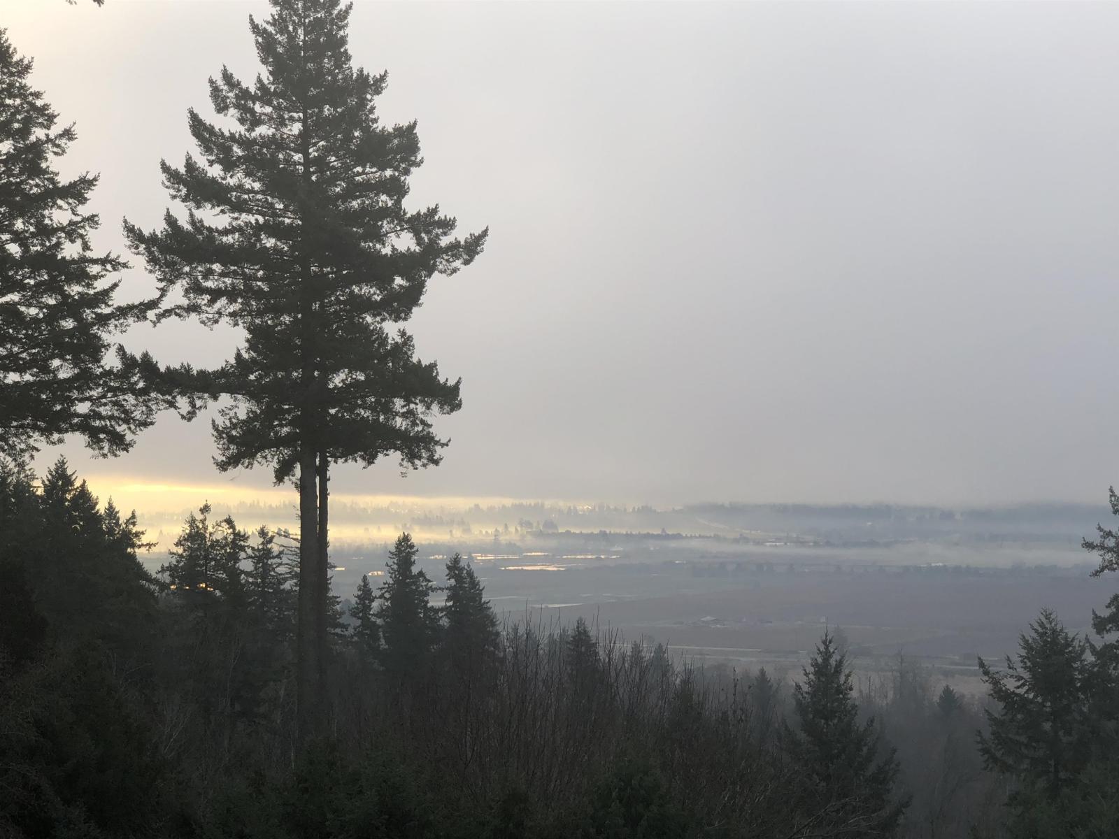 13634 56 Avenue, Surrey, British Columbia  V3X 2Z8 - Photo 2 - R3117589