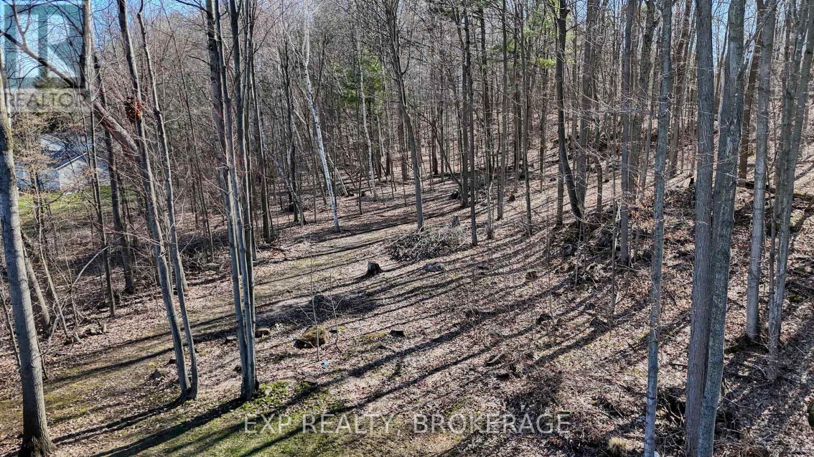 5576 Mcfadden Road, Frontenac, Ontario  K0H 2L0 - Photo 45 - X13061098