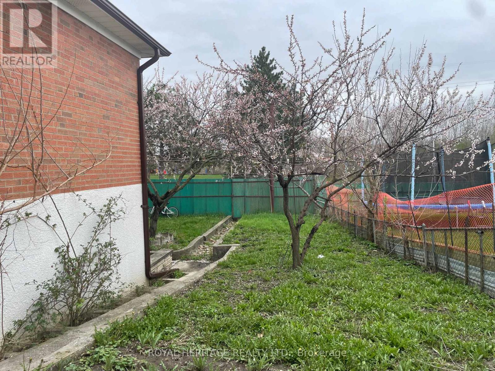 Main Floor - 281 Driftwood Avenue, Toronto, Ontario  M3N 2N6 - Photo 21 - W13061132