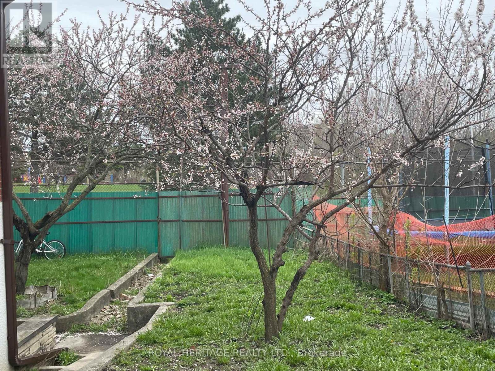 Main Floor - 281 Driftwood Avenue, Toronto, Ontario  M3N 2N6 - Photo 22 - W13061132