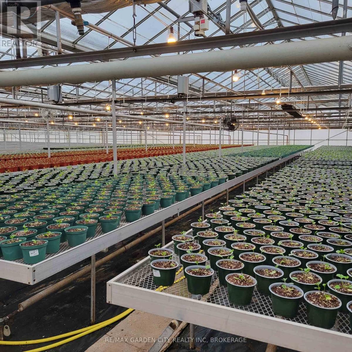 228-234 Read Road, St. Catharines, Ontario  L2R 7K6 - Photo 7 - X13061210