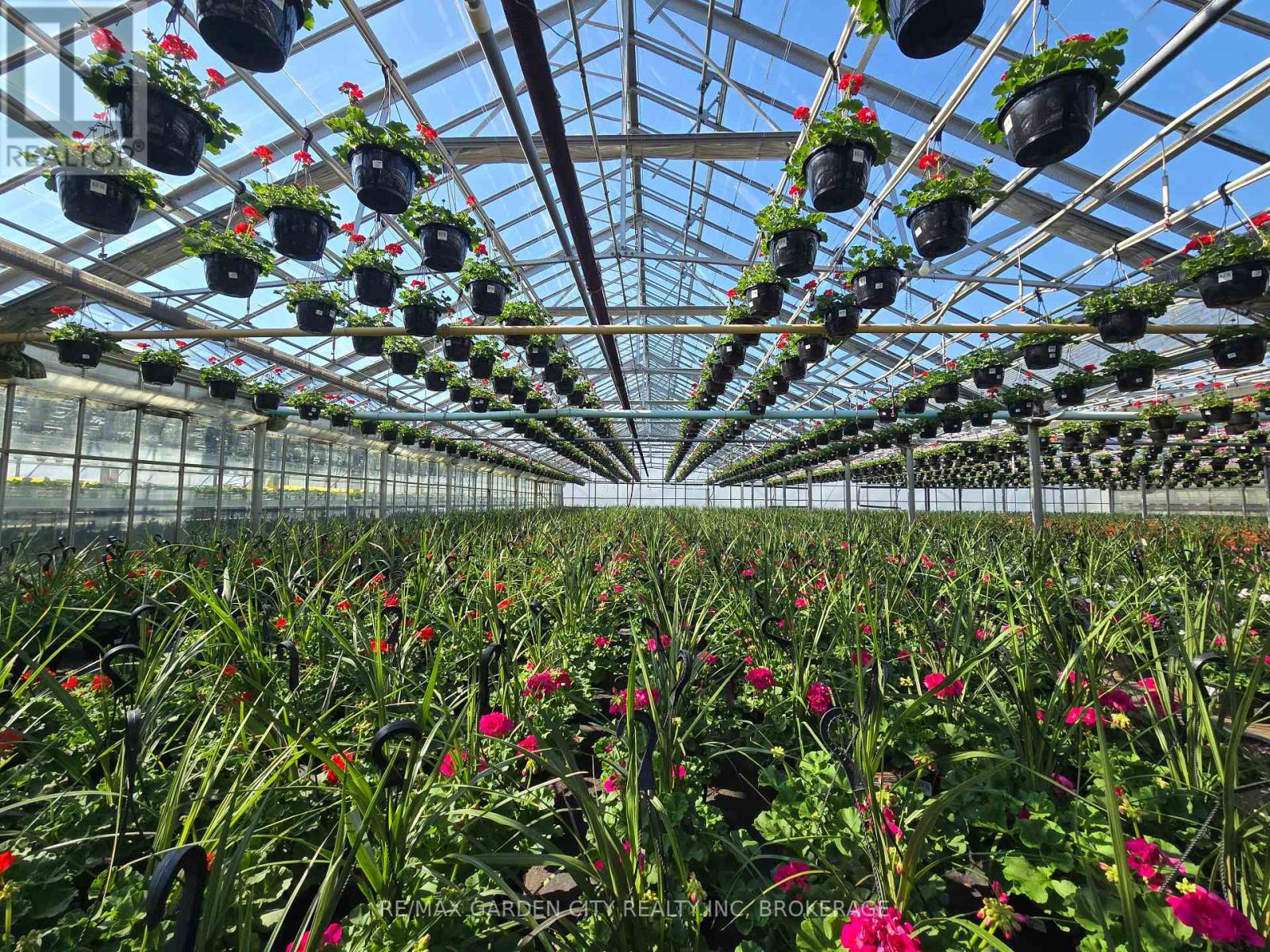 228-234 Read Road, St. Catharines, Ontario  L2R 7K6 - Photo 9 - X13061210