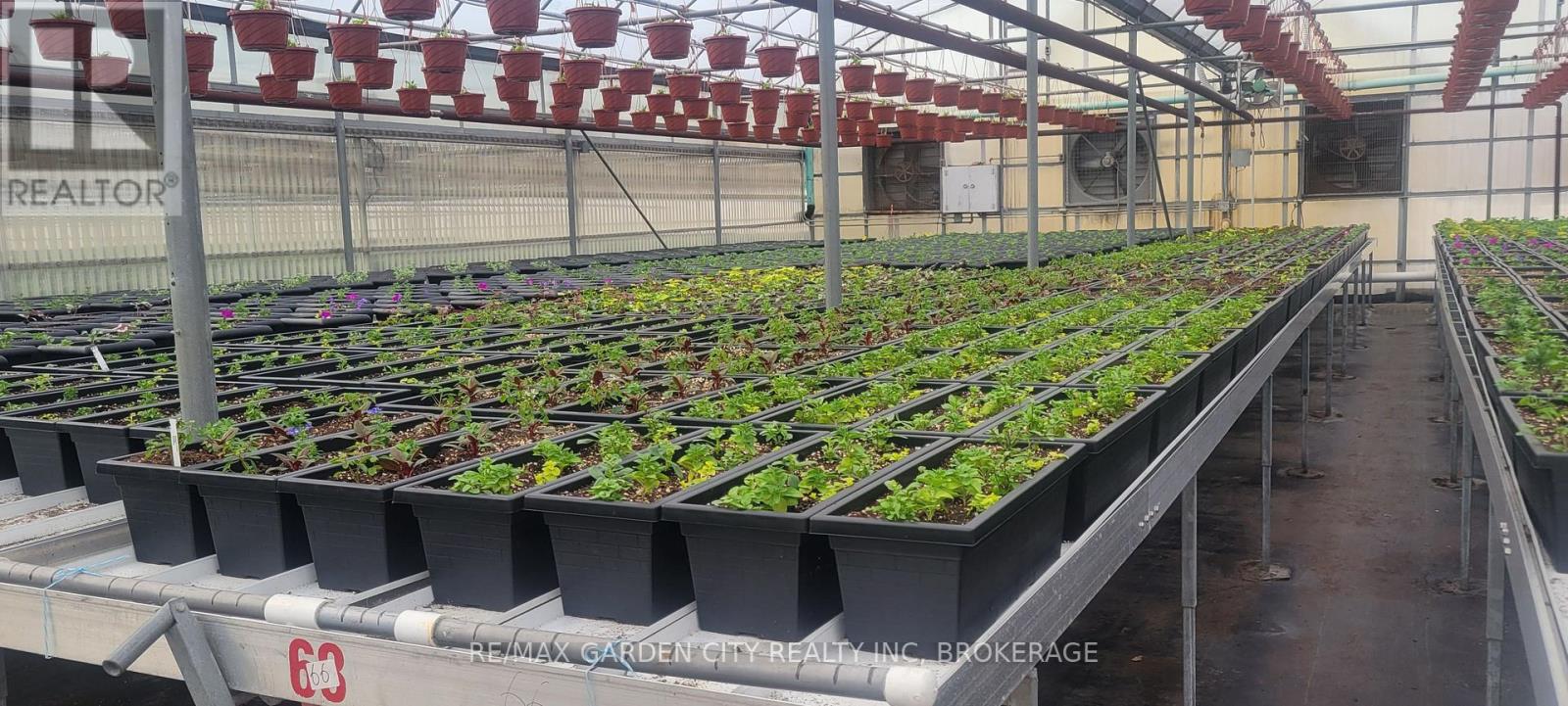 228-234 Read Road, St. Catharines, Ontario  L2R 7K6 - Photo 13 - X13061248