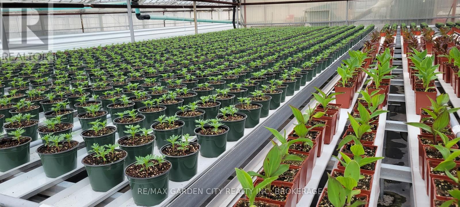 228-234 Read Road, St. Catharines, Ontario  L2R 7K6 - Photo 14 - X13061248