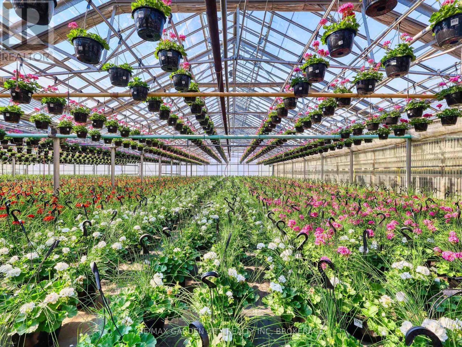 228-234 Read Road, St. Catharines, Ontario  L2R 7K6 - Photo 16 - X13061248