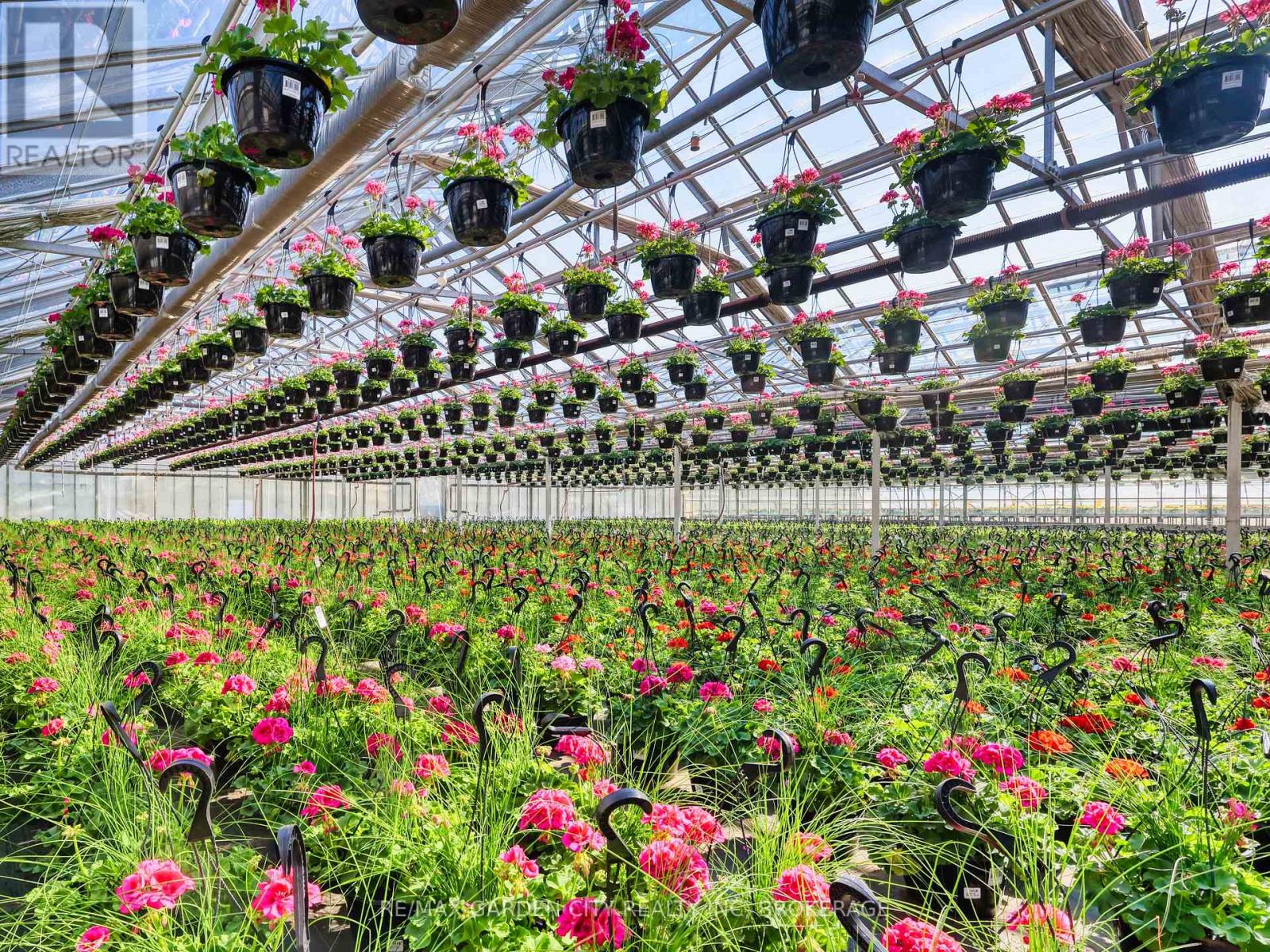 228-234 Read Road, St. Catharines, Ontario  L2R 7K6 - Photo 17 - X13061248