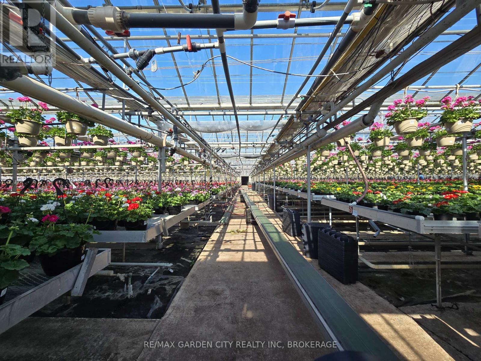 228-234 Read Road, St. Catharines, Ontario  L2R 7K6 - Photo 18 - X13061248