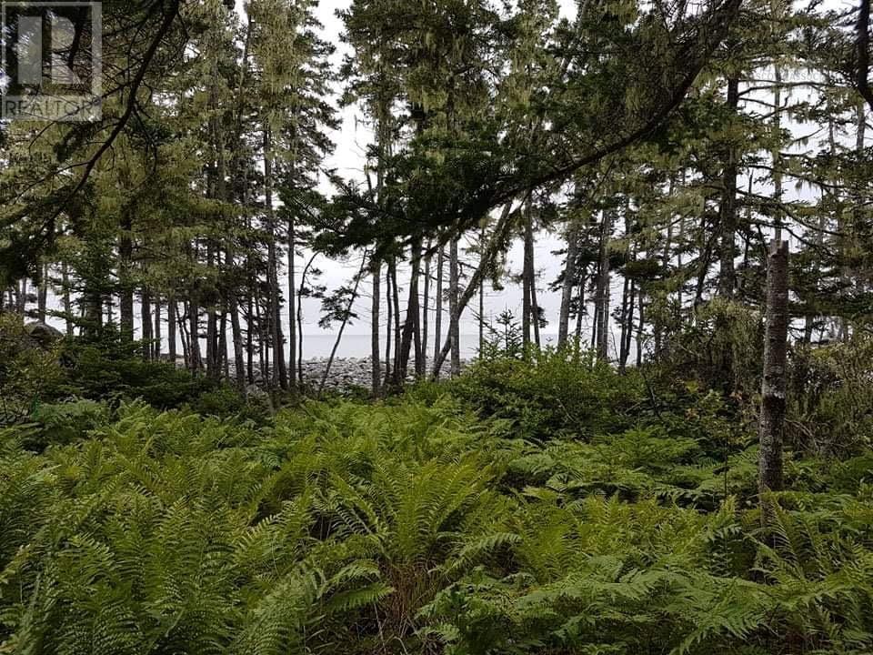 Lot 11 Everetts Way, Hunts Point, Nova Scotia  B0T 1G0 - Photo 6 - 202601414