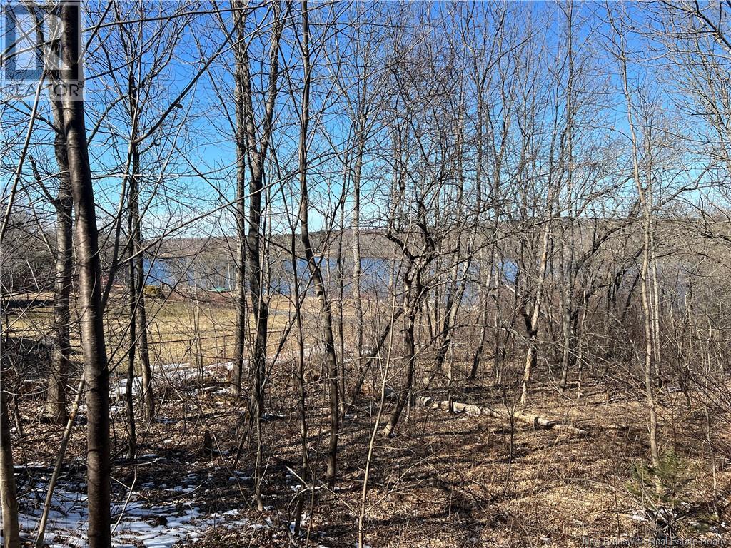 1467-1469 Lincoln Road, Fredericton, New Brunswick  E3B 8J5 - Photo 3 - NB138105