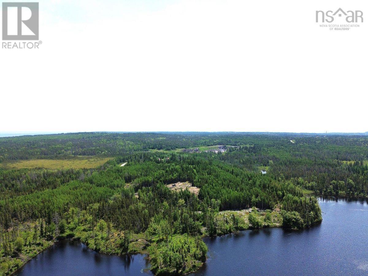 Lot 4 Grandique Road, Arichat, Nova Scotia  B0E 1K0 - Photo 8 - 202409283