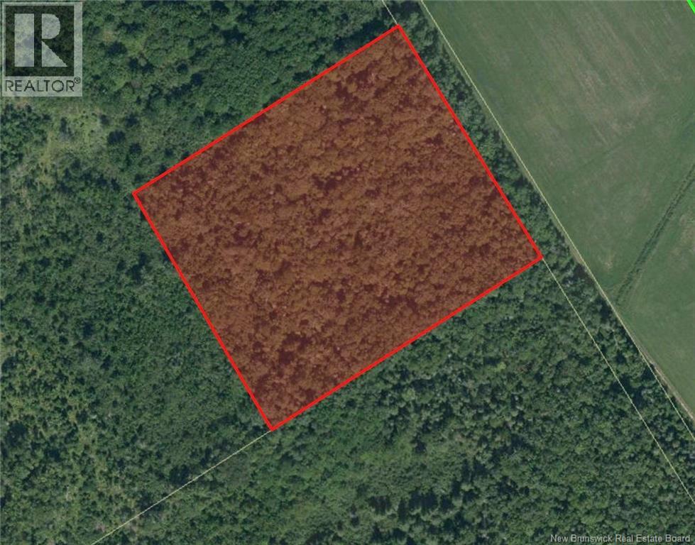 Lot Saint-Damien Road, Sainte-Marie-De-Kent, New Brunswick  E4V 3E5 - Photo 1 - NB120689
