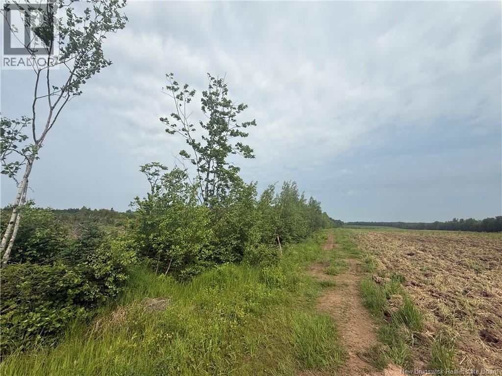 Lot Saint-Damien Road, Sainte-Marie-De-Kent, New Brunswick  E4V 3E5 - Photo 4 - NB120689